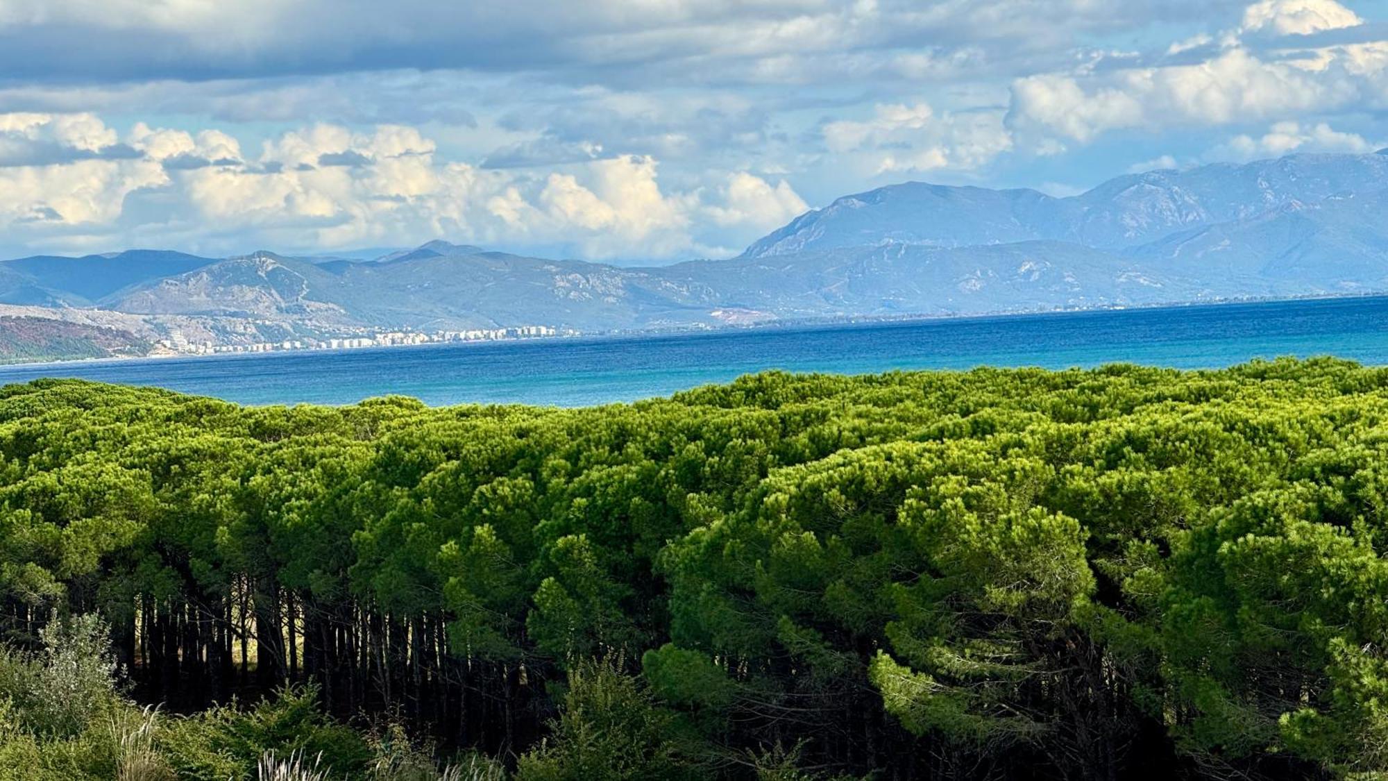 41 Velipojë